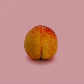 Best Vibrating Butt Plugs