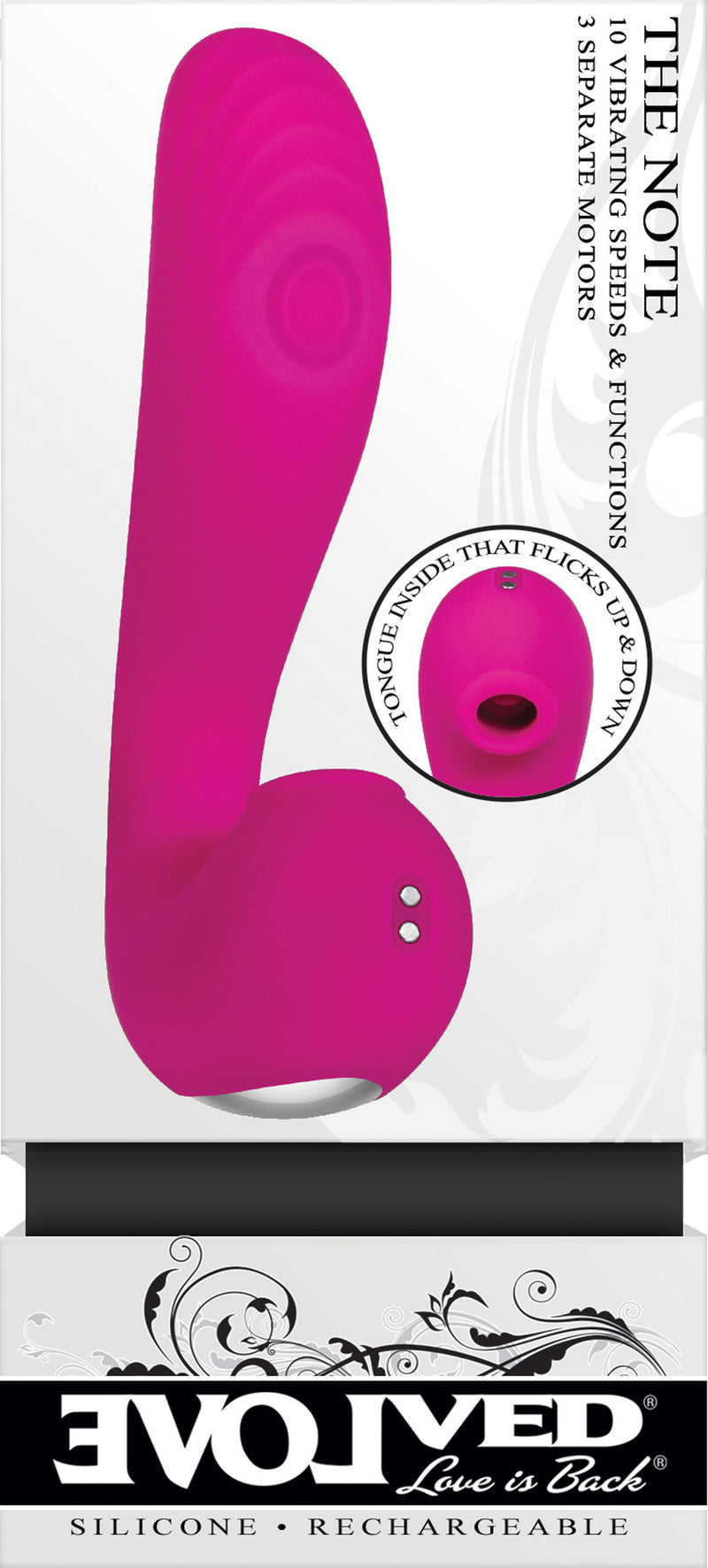 Evolved Novelties The Note