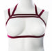 "Gender Fluid Sugar Coated Harness - Large/xxlarge - Raspberry GFL-H402"