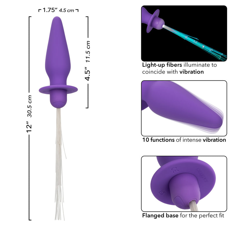 CalExotics Southern Lights - Vibrating Light Up Anal Probe - Purple