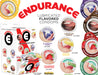 "Endurance Condoms - 144 Count Wall Mount Display - Assorted Flavors HTP3319-D"