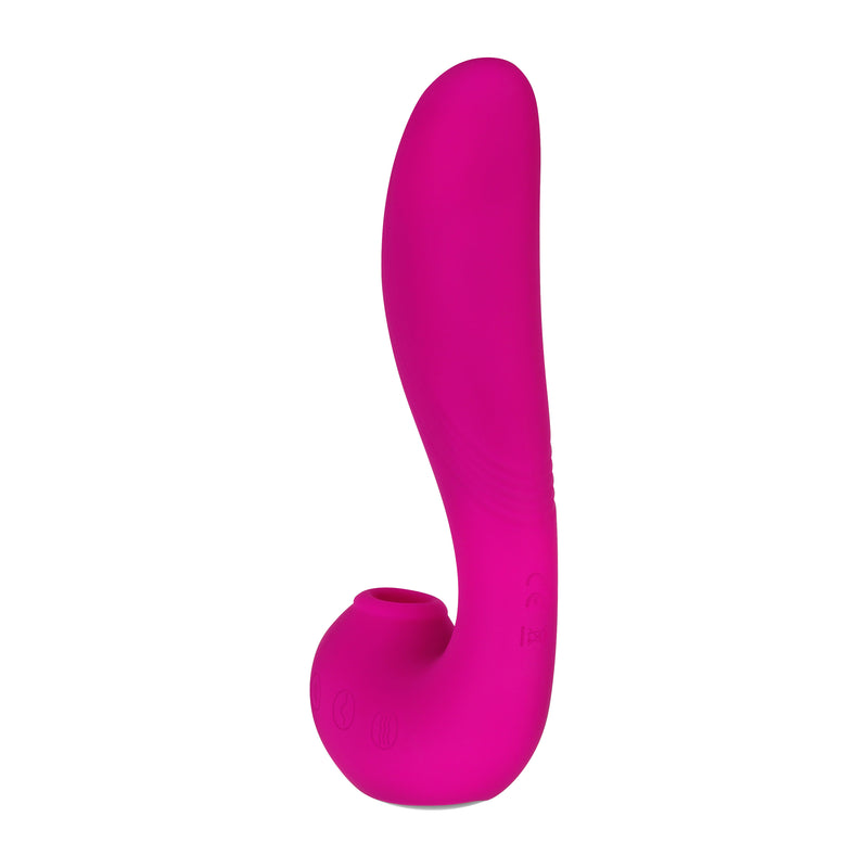 Evolved Novelties The Note