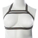 "Gender Fluid Silver Lining Harness - Large/xxlarge - Multi-Color GFL-H502"