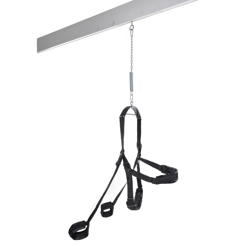 Pipedream Fetish Fantasy Series Fantasy Swing - Black - Black