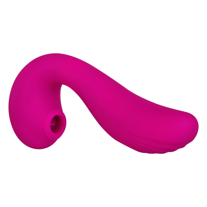 Evolved Novelties The Note