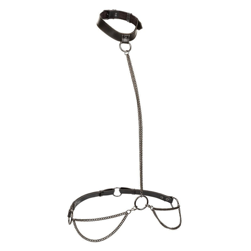 "Euphoria Collection Plus Size Chain Halter/collar and Leash - Black SE3101013"