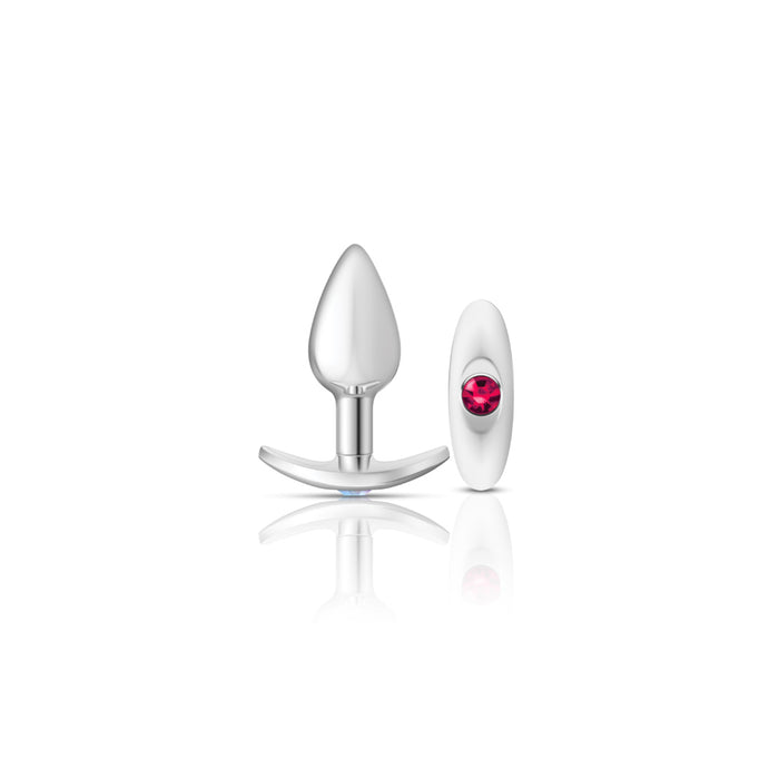 "Silver Anchor Buttplug Kit - Clear Iridescent/pink VB-CC9140"