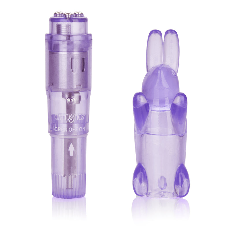 CalExotics Shanes World Pocket Party - Purple