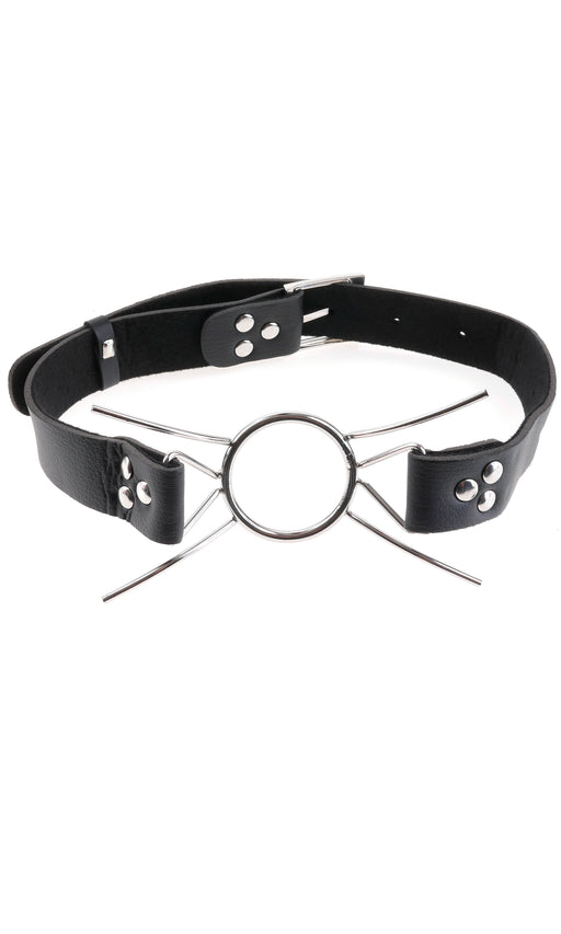 "Fetish Fantasy Extreme Spider Gag PD3630-00"