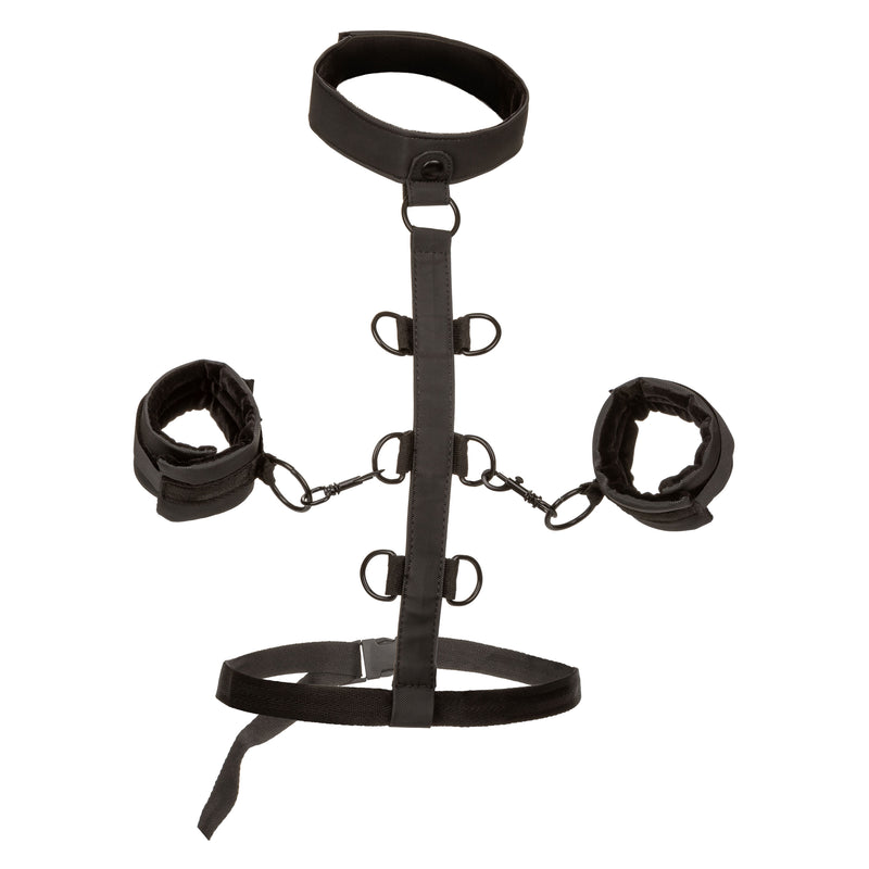 CalExotics Boundless Collar Body Restraint - Black