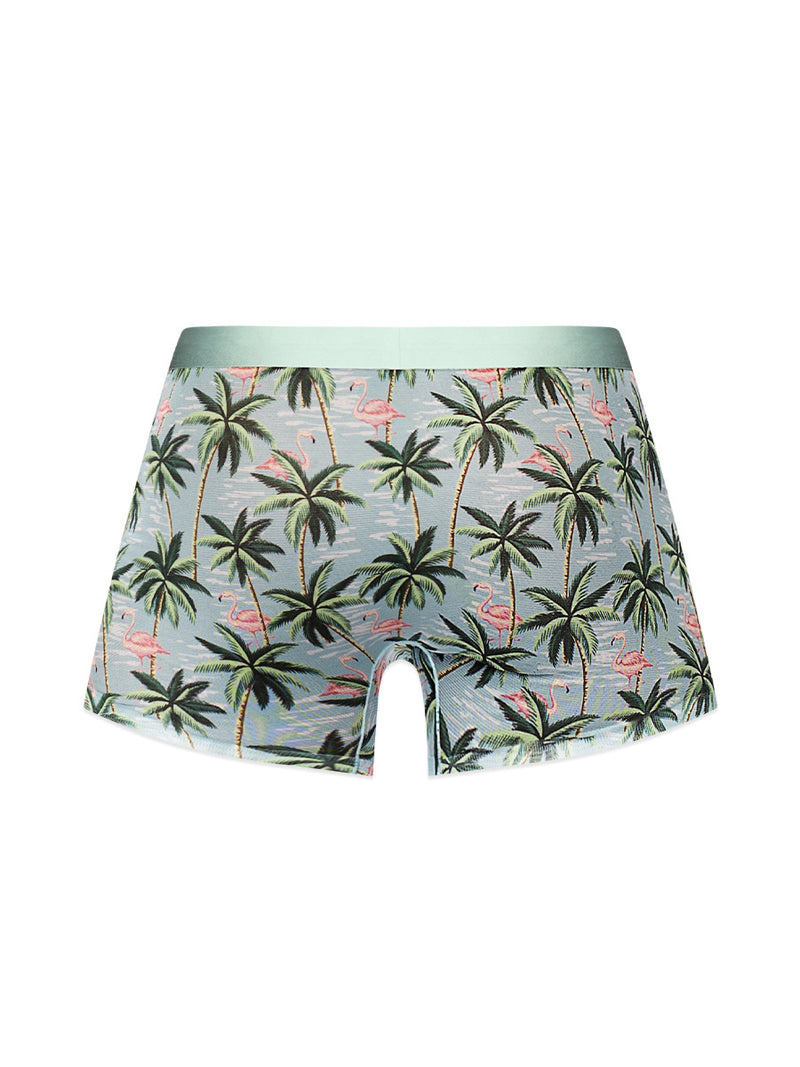 Male Power Sheer Prints - Seamless Sheer Short - Small - Flamingo