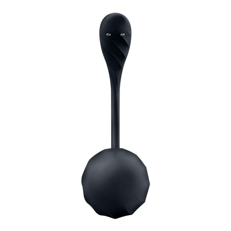 Satisfyer Ribbed Petal Connect App - Black