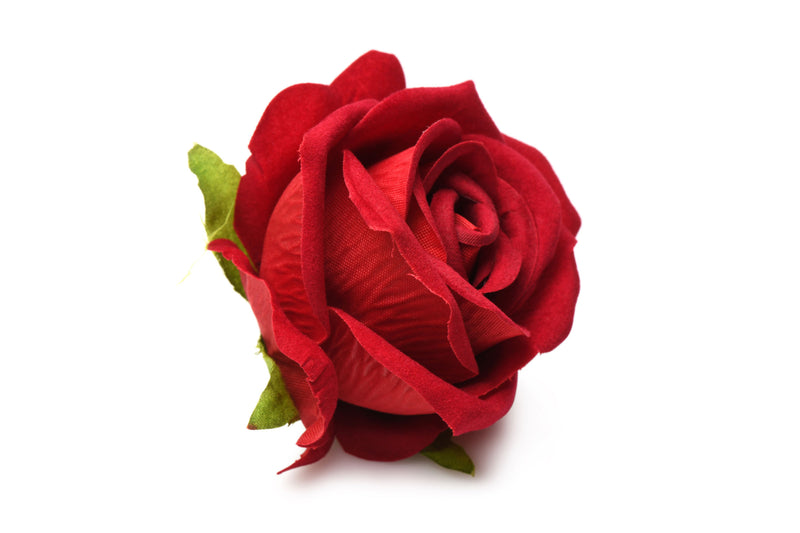XR Brands The Rose Lover's Gift Box Bloomgasm - Red