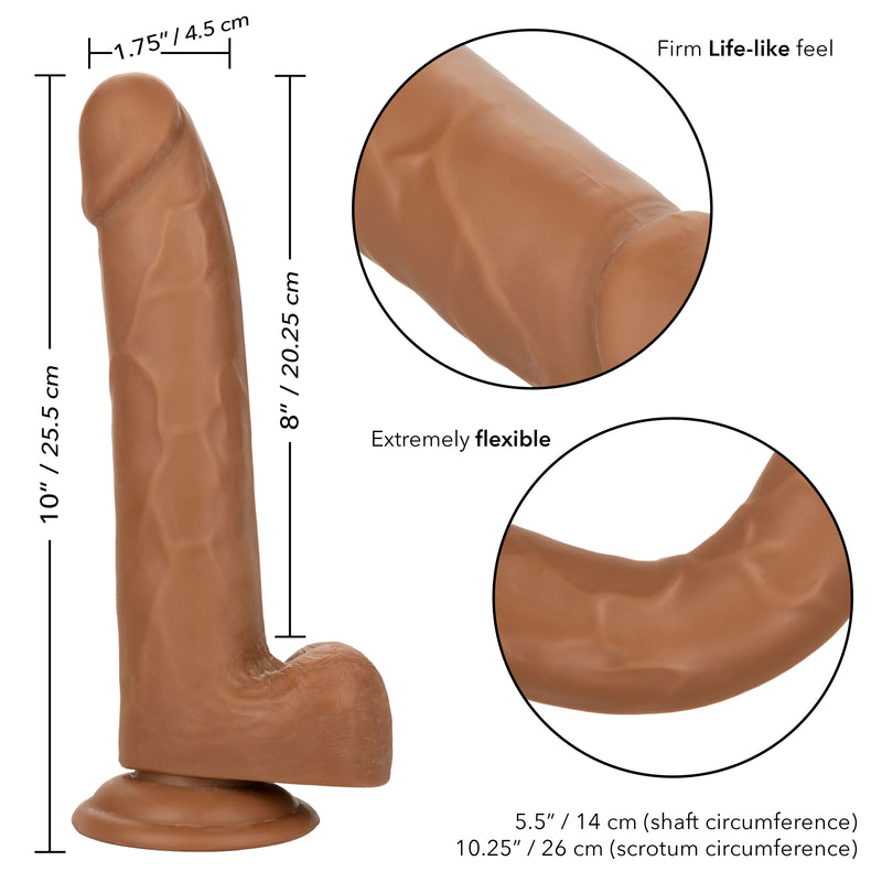 CalExotics Size Queen 8 inch/20.25 Cm - Brown