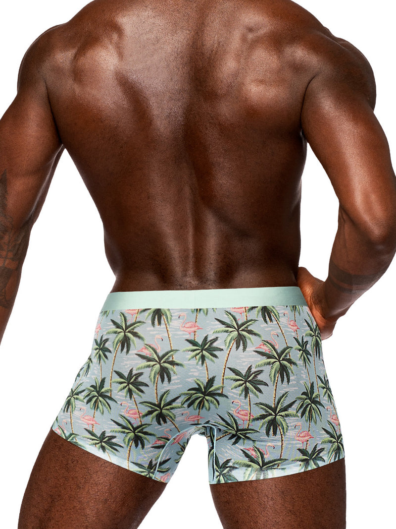 Male Power Sheer Prints - Seamless Sheer Short - Small - Flamingo