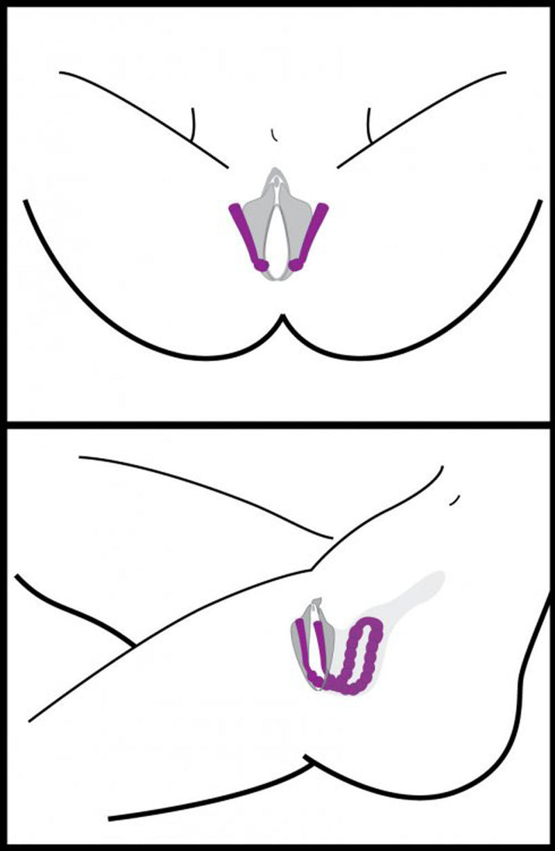 XR Brands Oral Enhancing Hands Free Labia Spreader