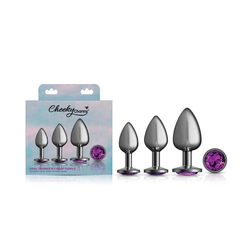 Viben Purple Round Gem Anal Trainer Kit - Gunmetal