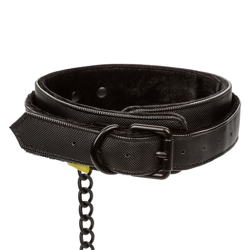 CalExotics Boundless Collar & Leash