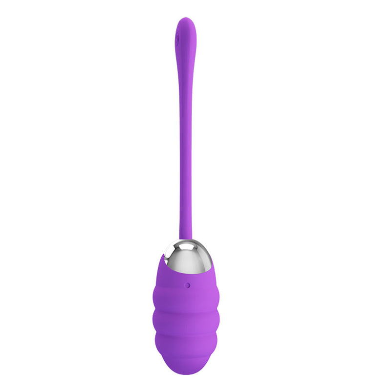 Pretty Love Pretty Love Franklin Rechargeable Egg Vibe - Purple