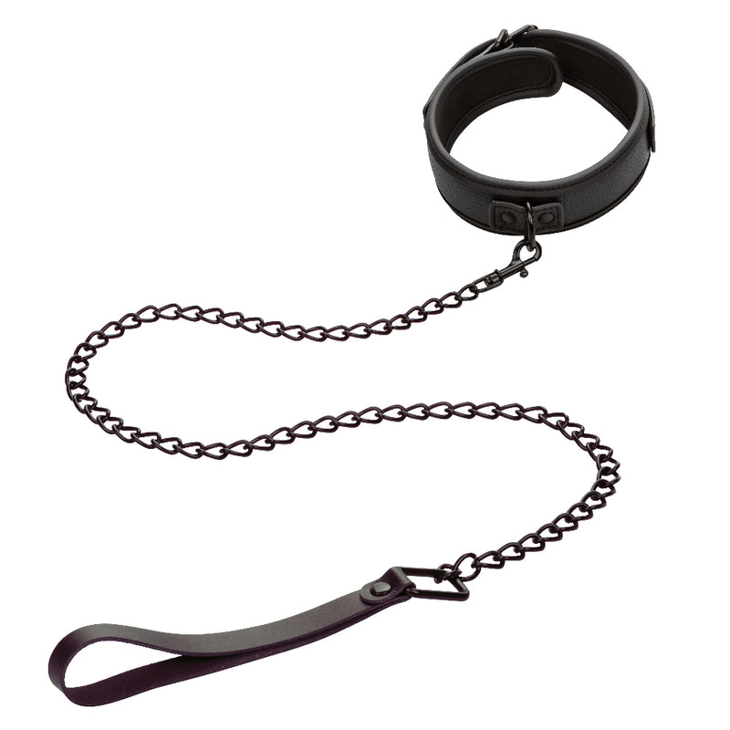 CalExotics Nocturnal Collection Collar and Leash - Black