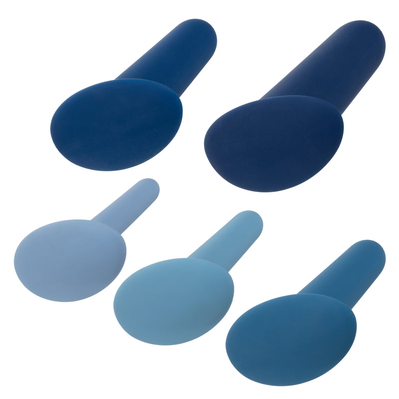 CalExotics They-Ology 5-Piece Wearable Anal Training Set