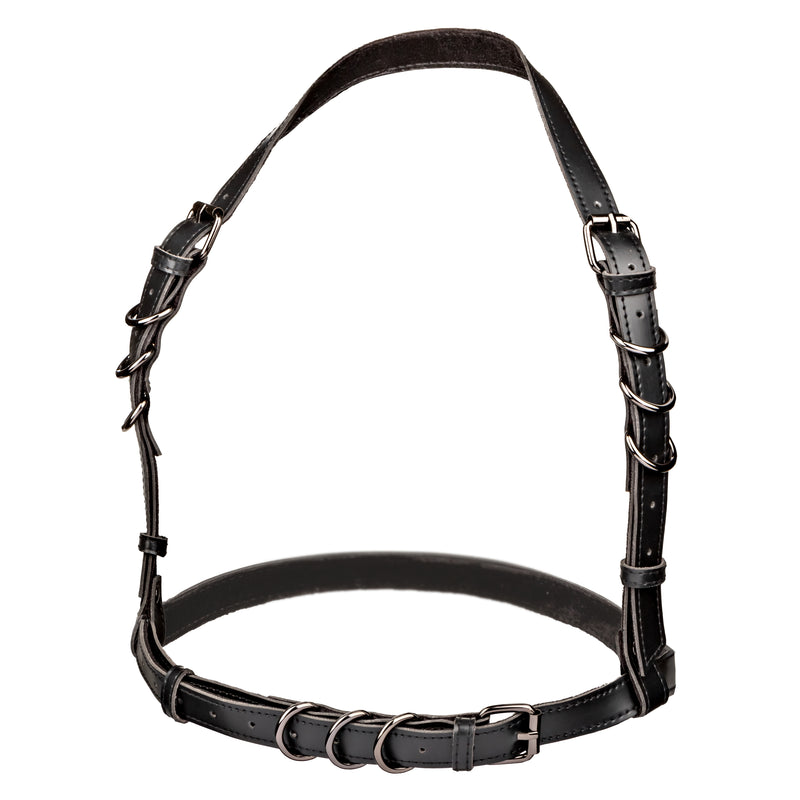 CalExotics Euphoria Collection Plus Size Halter Buckle Harness - Black