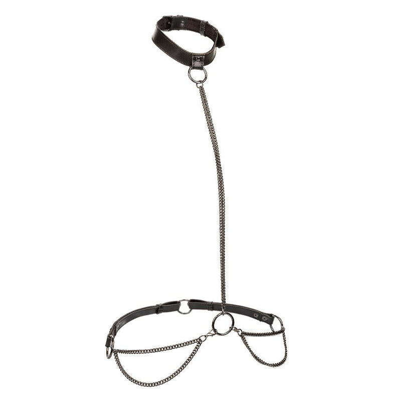 "Euphoria Collection Chain Halter/collar and Leash - Black SE3101003"