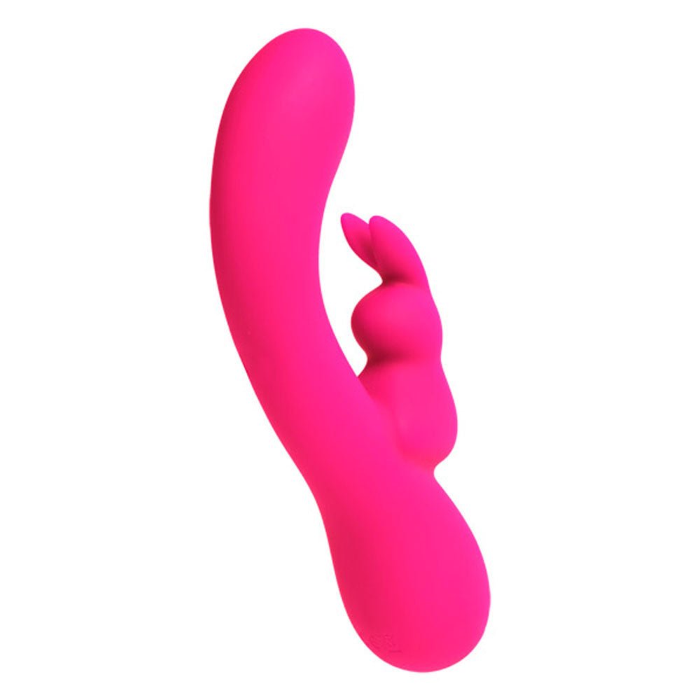 Remote Controlled Toys
