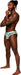 "Sheer Print - Sheer Thong - Large/x-Large - Flamingo MP-SMS012FLLXL"