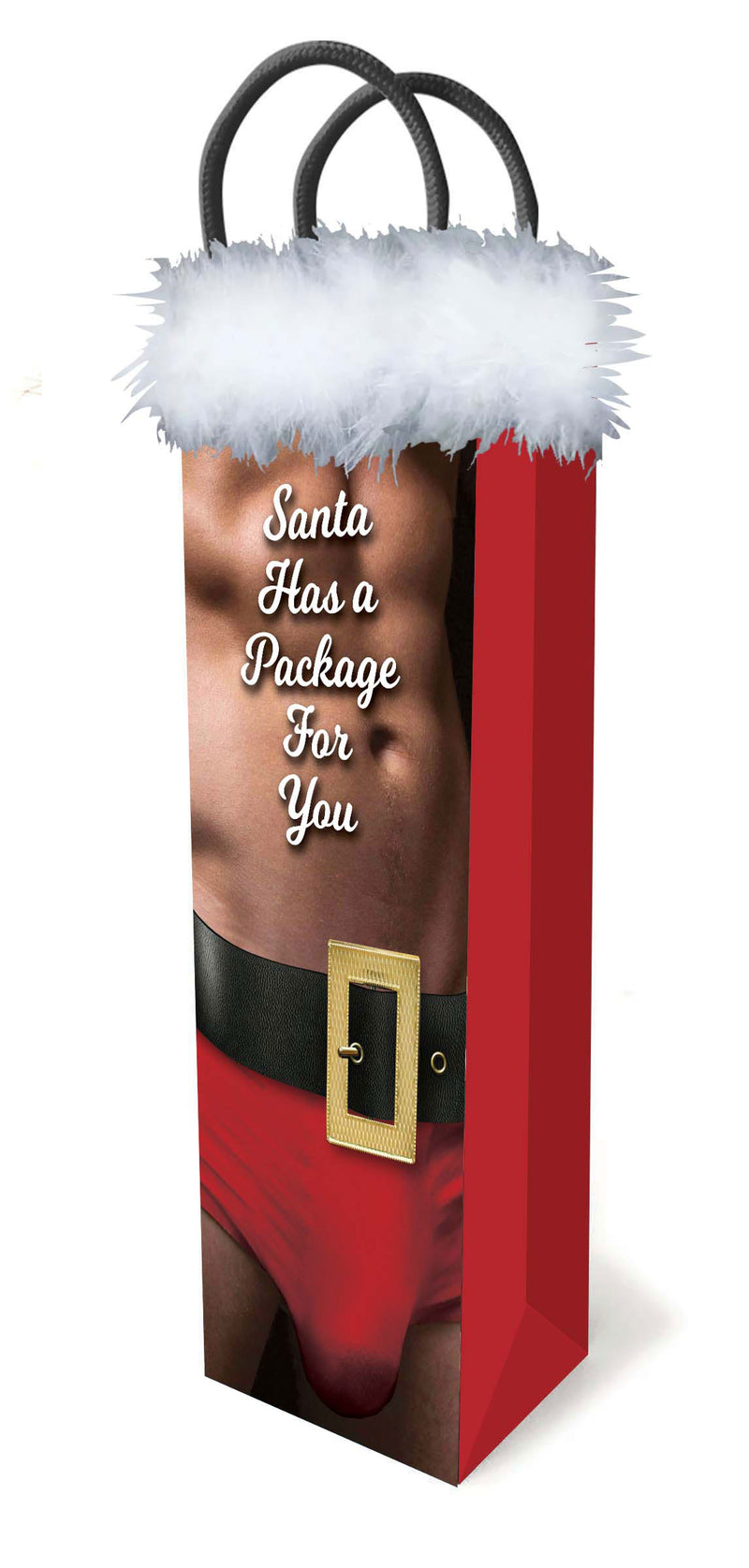 Little Genie Santa Has a Big Package for You
