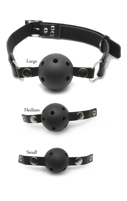 "Fetish Fantasy Series Ball Gag Training System PD3841-00"