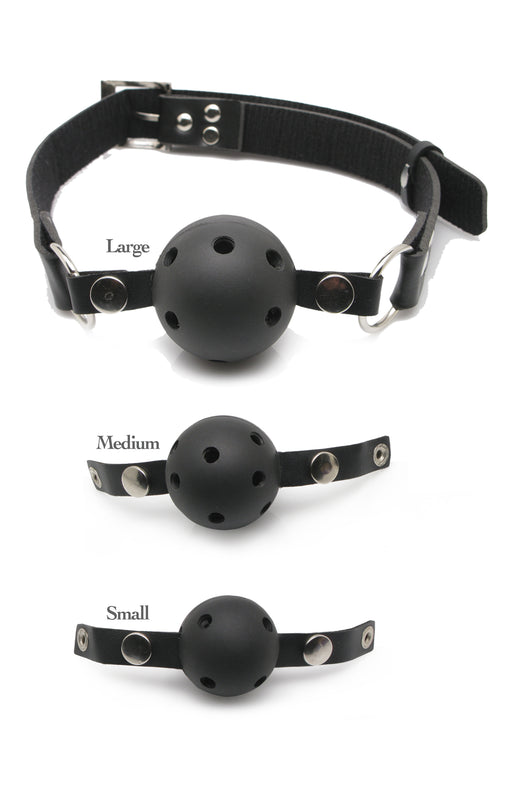 "Fetish Fantasy Series Ball Gag Training System PD3841-00"