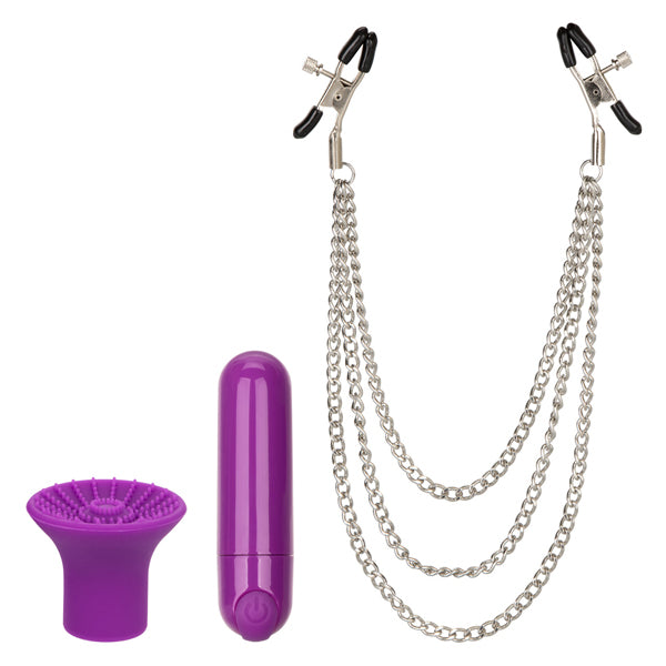 CalExotics Pleasure Kits Passion Collection - Purple