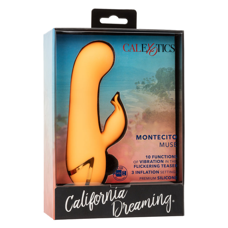 CalExotics California Dreaming Montecito Muse - Orange