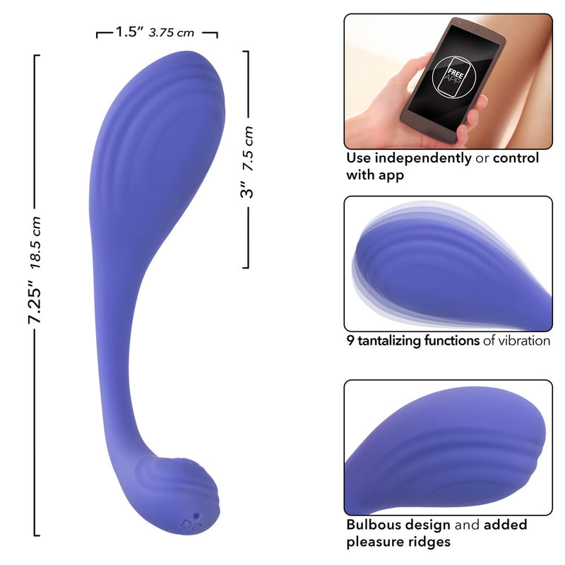 CalExotics Calexotics Connect Kegel Exerciser - Periwinkle