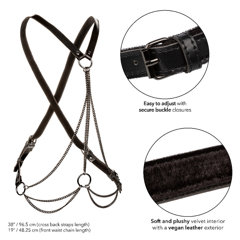 CalExotics Euphoria Collection Plus Size Multi Chain Harness - Black