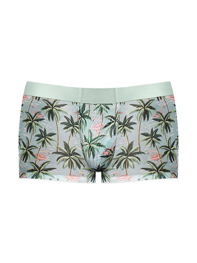 Male Power Sheer Prints - Seamless Sheer Short - X-Large - Flamingo