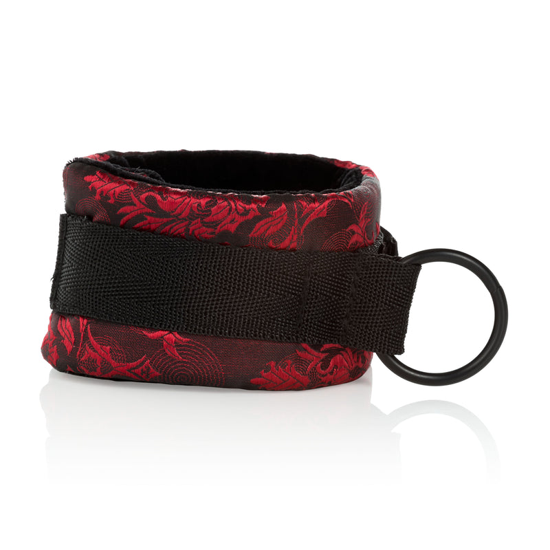 CalExotics Scandal Universal Cuff Set