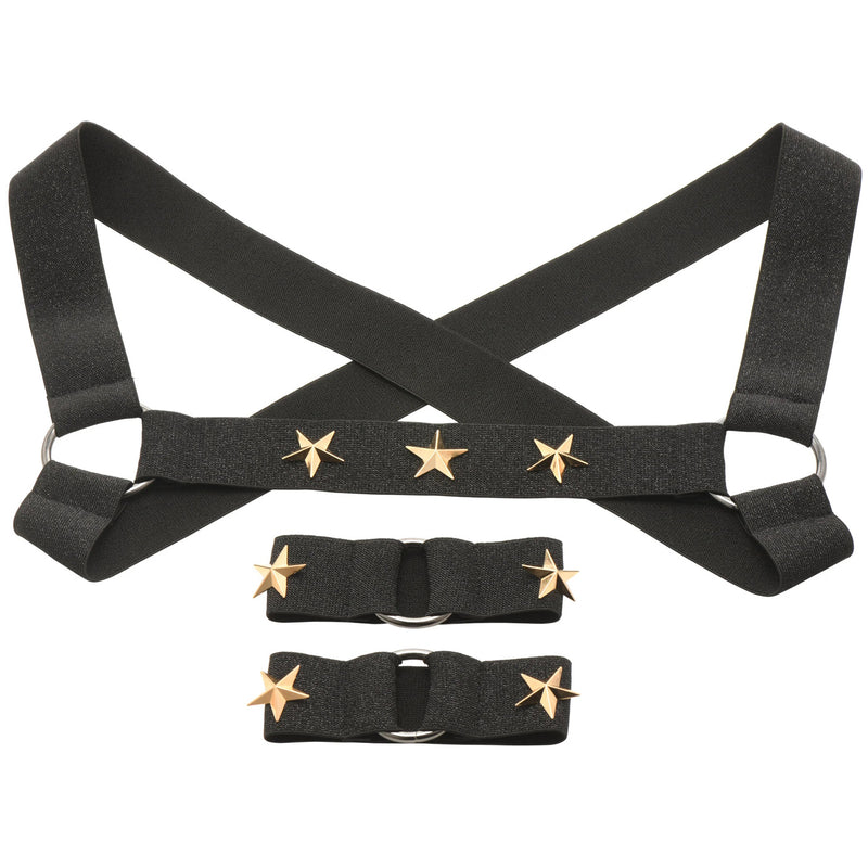 XR Brands Star Boy Male Chest Harness With Arm Bands - Small/medium - Black