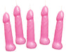 "Bachelorette Pecker Party Pink Candles 5pk HTP3143"