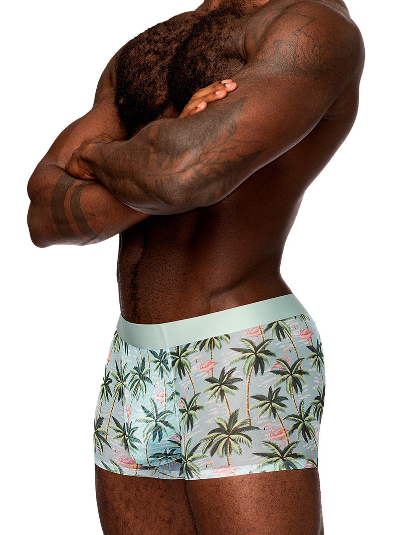 Male Power Sheer Prints - Seamless Sheer Short - X-Large - Flamingo