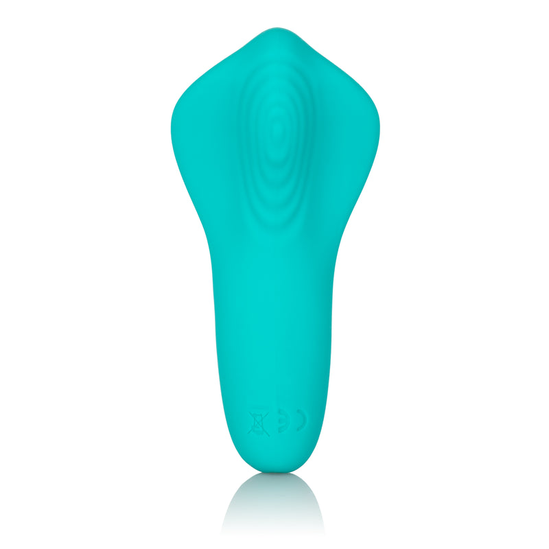 CalExotics Slay Pleaser