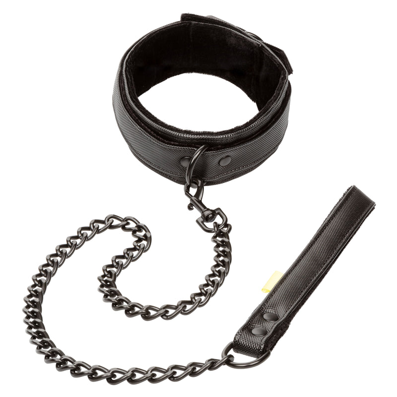 CalExotics Boundless Collar & Leash