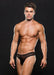 "Envy Modern Fishnet Thong - Large/xlarge - Black EV-BLE087BKLXL"