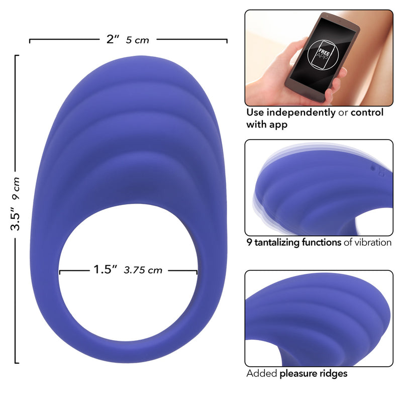 CalExotics Calexotics Connect Couples Ring - Periwinkle