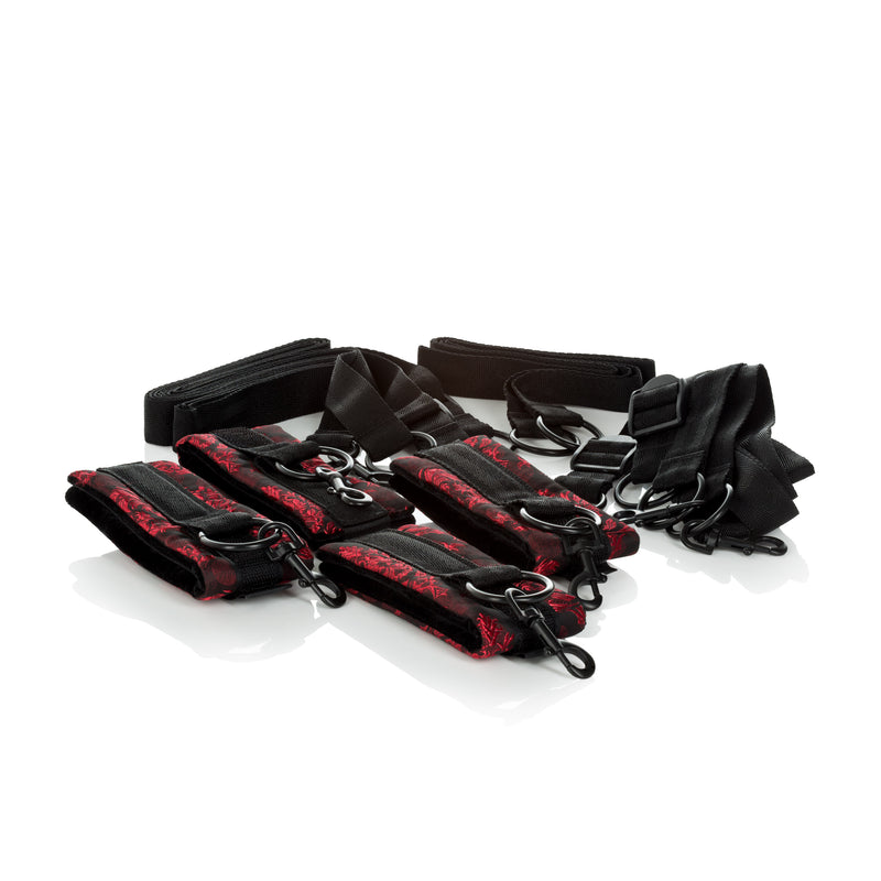 CalExotics Scandal Bed Restraints