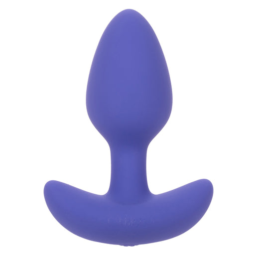 "Calexotics Connect Tapered Probe - Purple SE0001403"