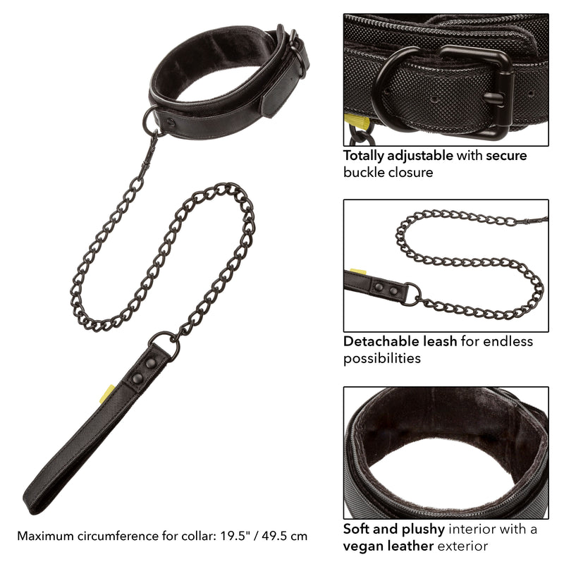 CalExotics Boundless Collar & Leash