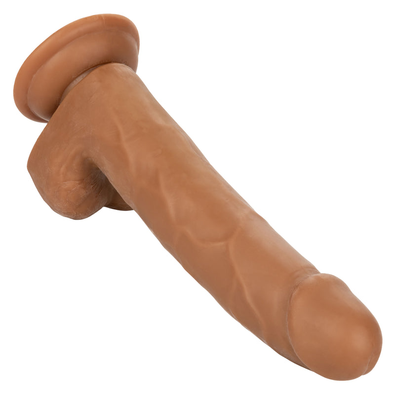 CalExotics Size Queen 8 inch/20.25 Cm - Brown