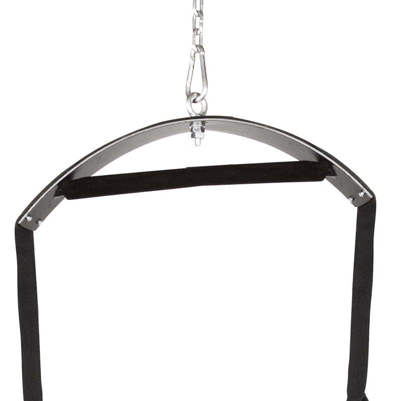 Electric Novelties Fantasy Swing